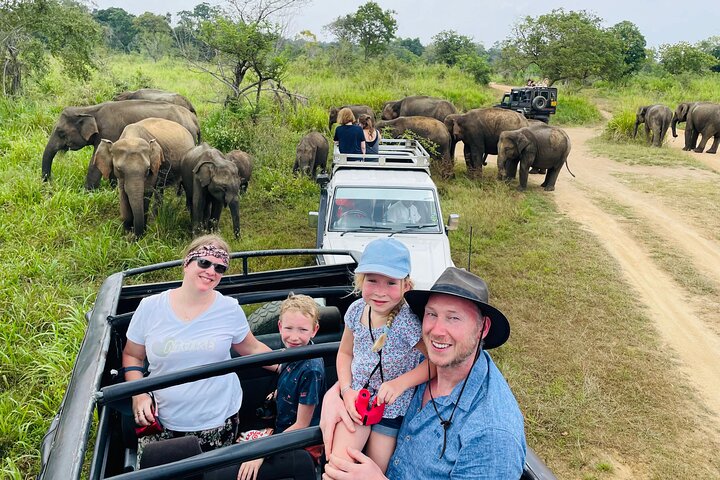 Wildlife Watching and Safaris